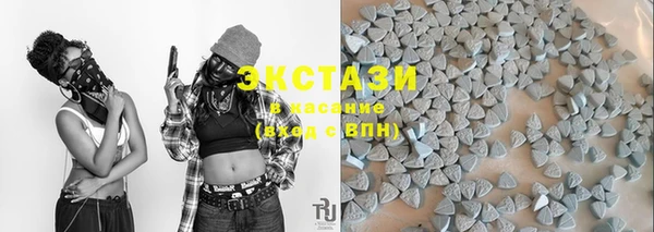 дживик Богородицк