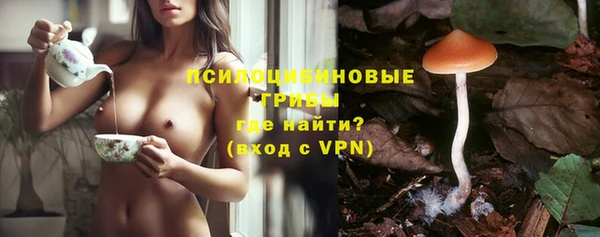 дживик Богородицк