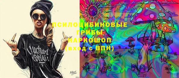 дживик Богородицк