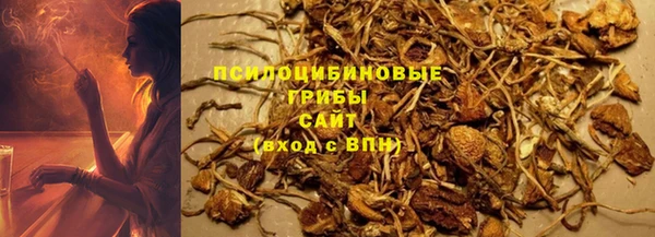jwh Богородск