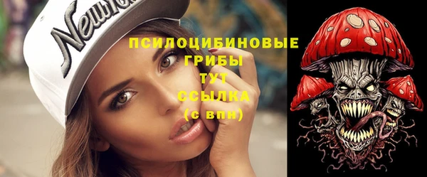 амф Новодвинск
