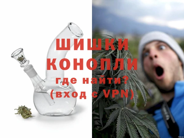 дживик Богородицк