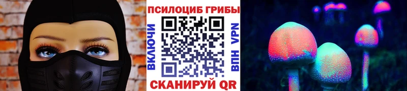 Галлюциногенные грибы GOLDEN TEACHER  дарнет шоп  Вологда 